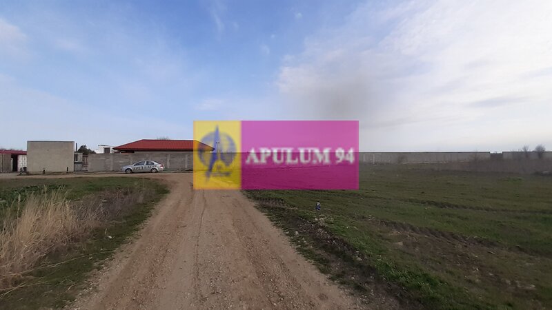 Parcela langa padure in Ilfov