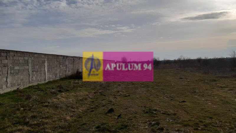 Parcela langa padure in Ilfov