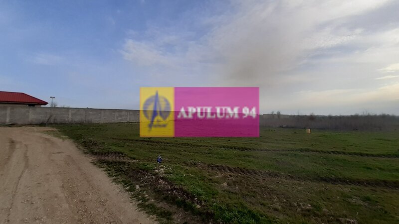 Parcela langa padure in Ilfov