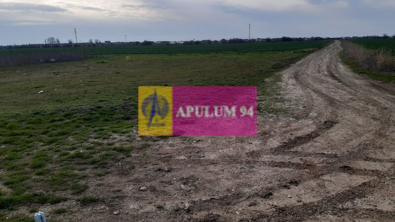 Parcela langa padure in Ilfov